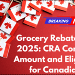 Grocery Rebate June 2025: CRA Confirms Amount and Eligibility for Canadians