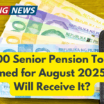 ₱1,000 Senior Pension Top-Up Confirmed for August 2025 – Who Will Receive It?