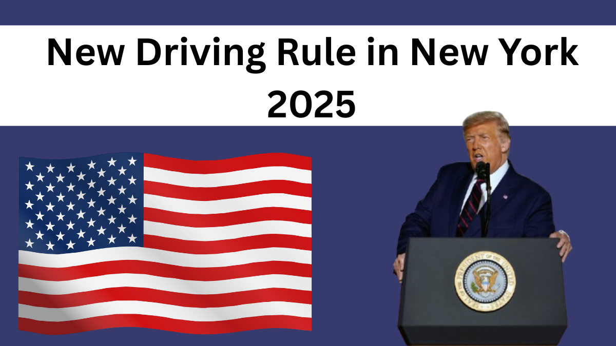 New Driving Rule in New York 2025 – License Impact and Fines Explained