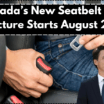 Canada’s New Seatbelt Fine Structure Starts August 2025 – Full Details