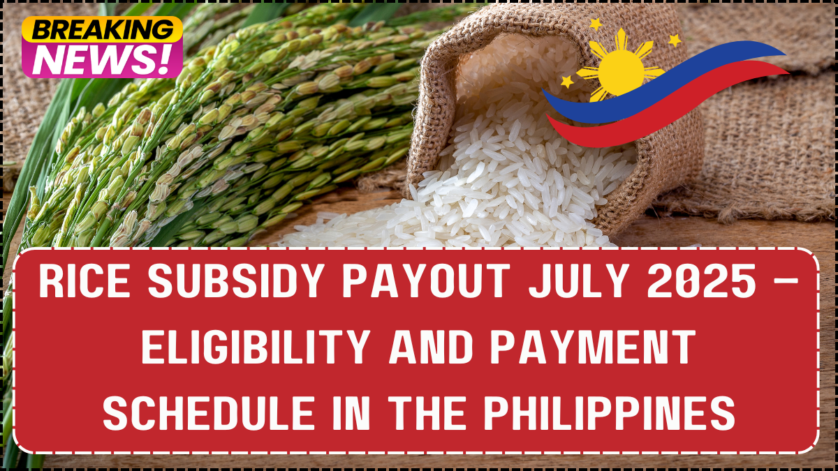 Rice Subsidy Payout July 2025 – Eligibility and Payment Schedule in the Philippines