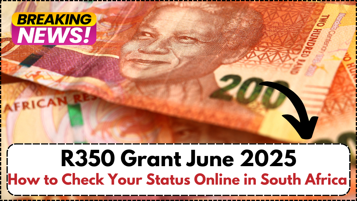 R350 Grant June 2025: How to Check Your Status Online in South Africa