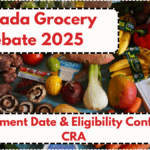 Canada Grocery Rebate 2025: $234 Payment Date & Eligibility Confirmed by CRA