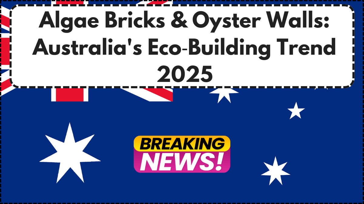 Algae Bricks & Oyster Walls: Australia's Eco‑Building Trend 2025
