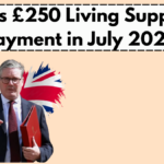 UK’s £250 Living Support Payment in July 2025 – Income Limits & Eligibility Explained