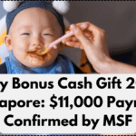 Baby Bonus Cash Gift 2025 Singapore: $11,000 Payment Confirmed by MSF