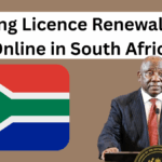 Driving Licence Renewal Goes Online in South Africa – 2025 Full Guide